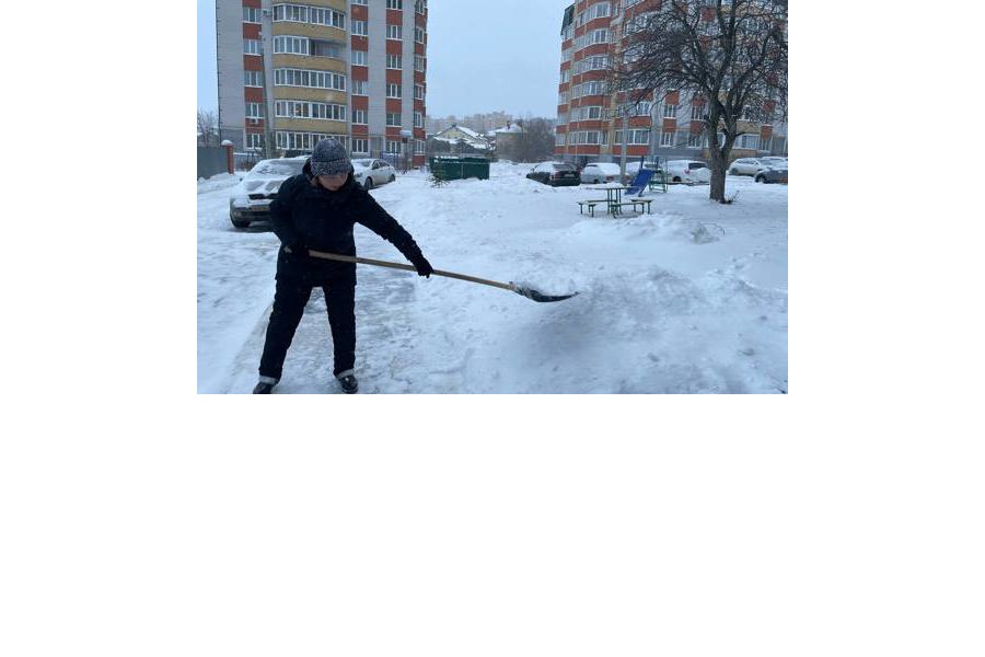 Об обязанности управляющих организаций по своевременной уборке придомовой территории от снега