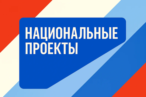 Национальные проекты