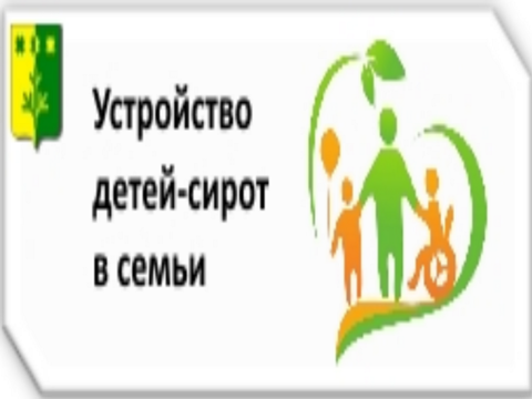 Устройство детей-сирот в семьи