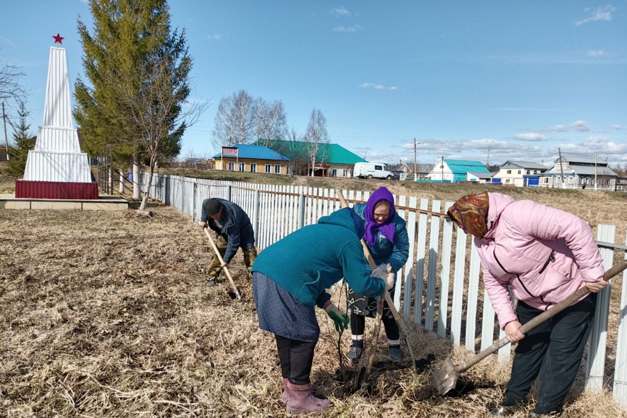 Посадка деревьев в честь героев Великой Отечественной войны