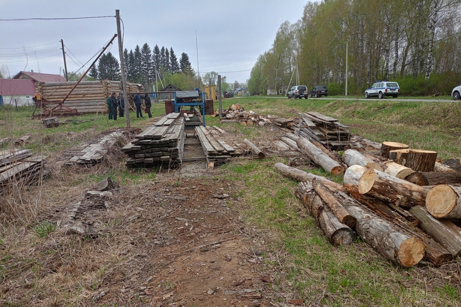 Проверка целевого использования древесины (25.04.2025)