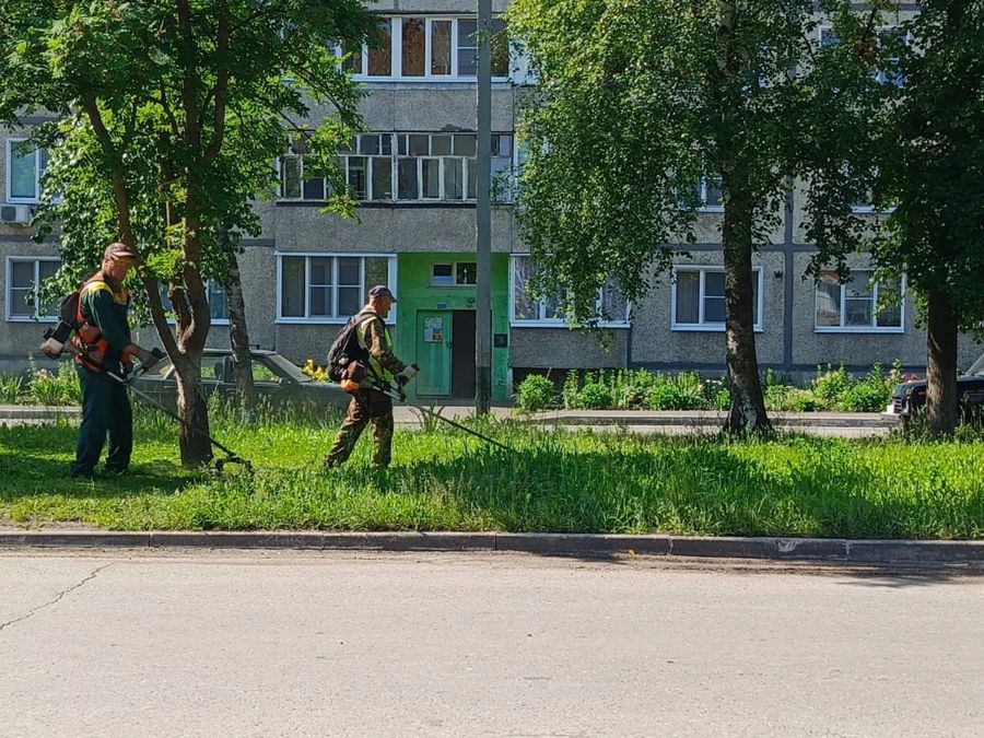 Чистота начинается с нас самих