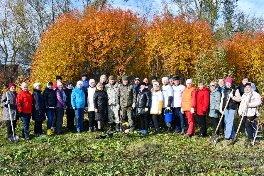 Акция «Сохраним лес» в Батыревском муниципальном округе