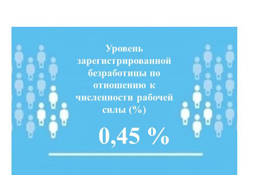 Уровень регистрируемой безработицы в Чувашской Республике составил 0,45%