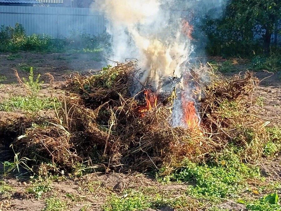 Сжигание картофельной ботвы и любого мусора строго запрещено
