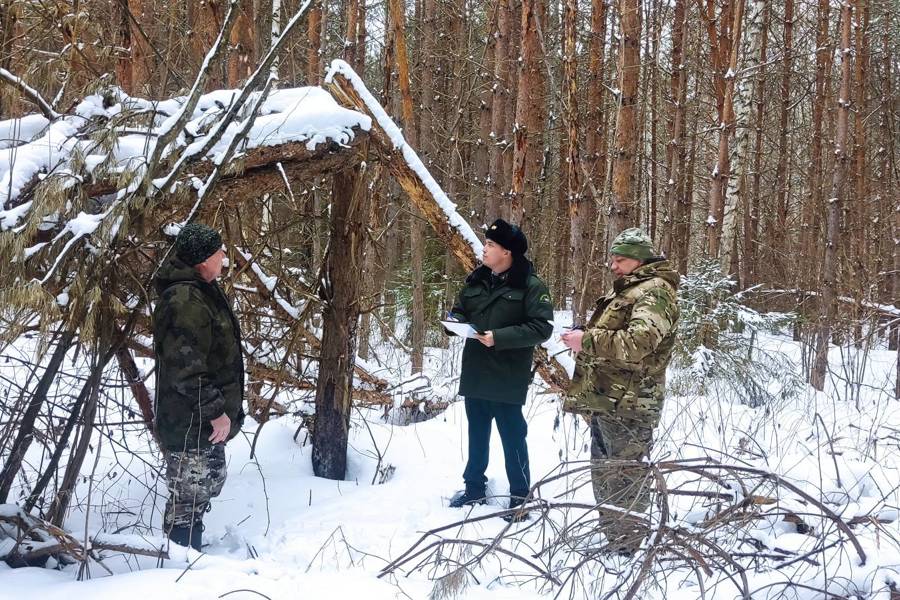 Лесные инспекторы Чувашии следят за здоровьем лесов