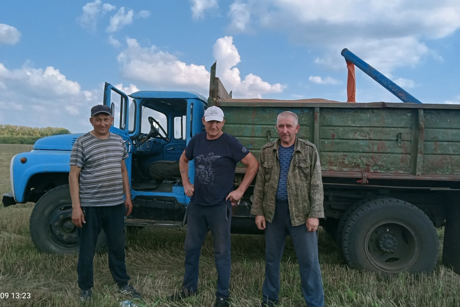 В СХПК Рассвет завершен сев озимых культур