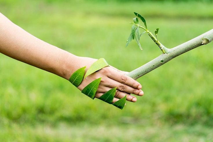Продлен прием заявок на конкурс «Лучший эколог-2025»