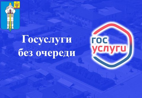 Госуслуги без очереди