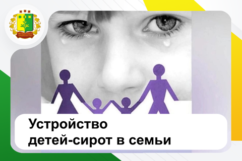 Устройство детей-сирот в семьи