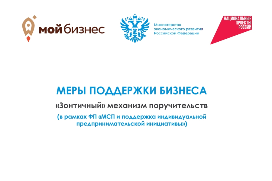 Меры поддержки бизнеса в рамках реализации национального проекта «Эффективная и конкурентная экономика». «Зонтичный» механизм поручительств