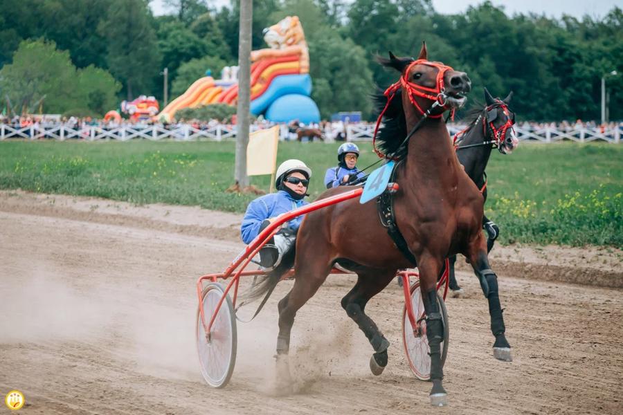 Второй раз в истории состоятся  соревнования по конным бегам на Кубок Главы Чувашии