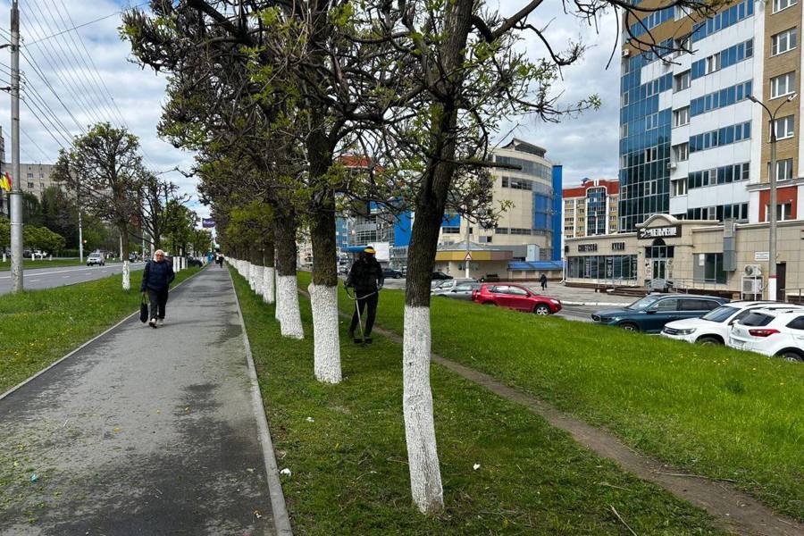 В парках и скверах Чебоксар продолжаются сезонные работы