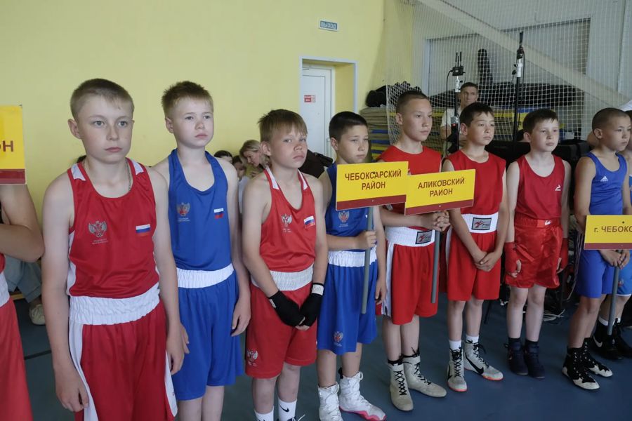 Состоялся V юношеский турнир по боксу