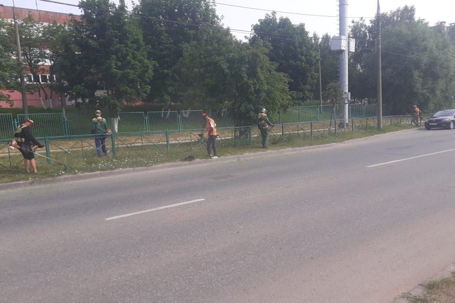 В городе Чебоксары продолжается покос территорий