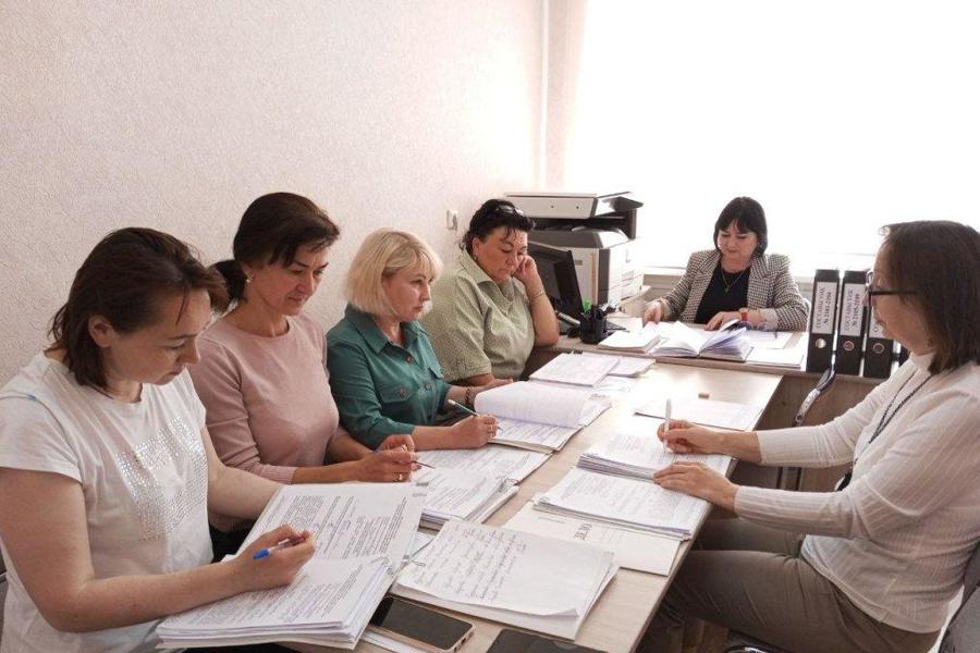 Заседание Рабочей группы Шемуршинской ТИК