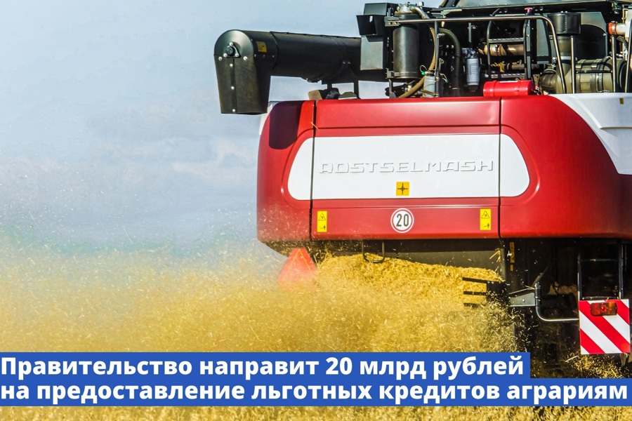 Правительство РФ направит 20 млрд рублей на предоставление льготных кредитов аграриям
