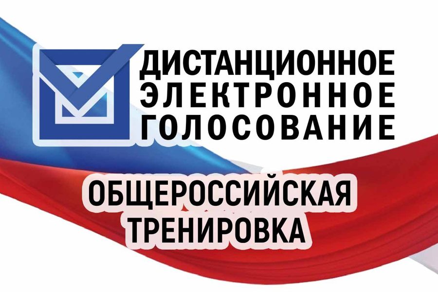 Началась общероссийская тренировка дистанционного электронного голосования