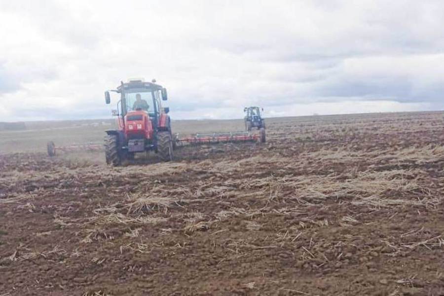 В сельскохозяйственных организациях и КФХ Шумерлинского округа весенне-полевые работы продолжаются