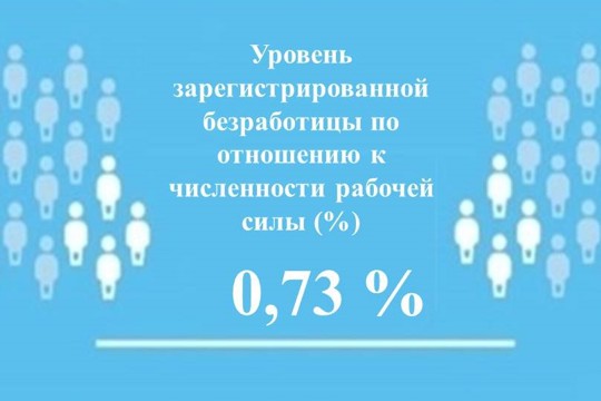 Уровень регистрируемой безработицы в Чувашской Республике составил 0,73%