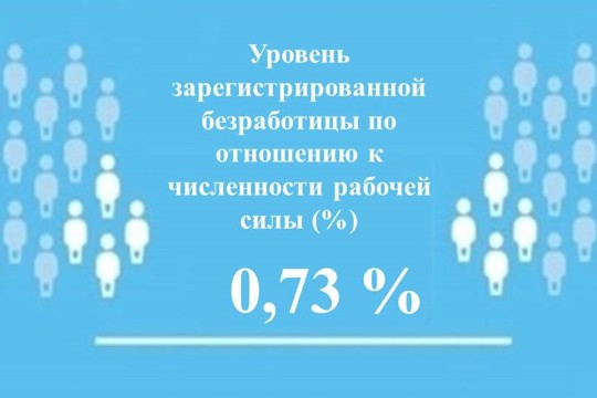 Уровень регистрируемой безработицы в Чувашской Республике составил 0,73%