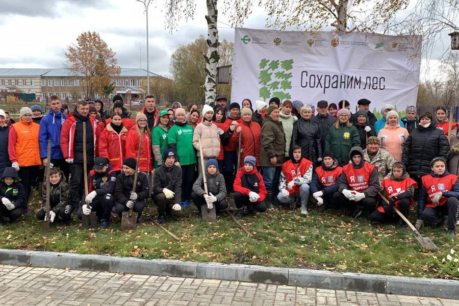 Всероссийская акция «Сохраним лес» в Батыревском МО (19.10.2023 г.)