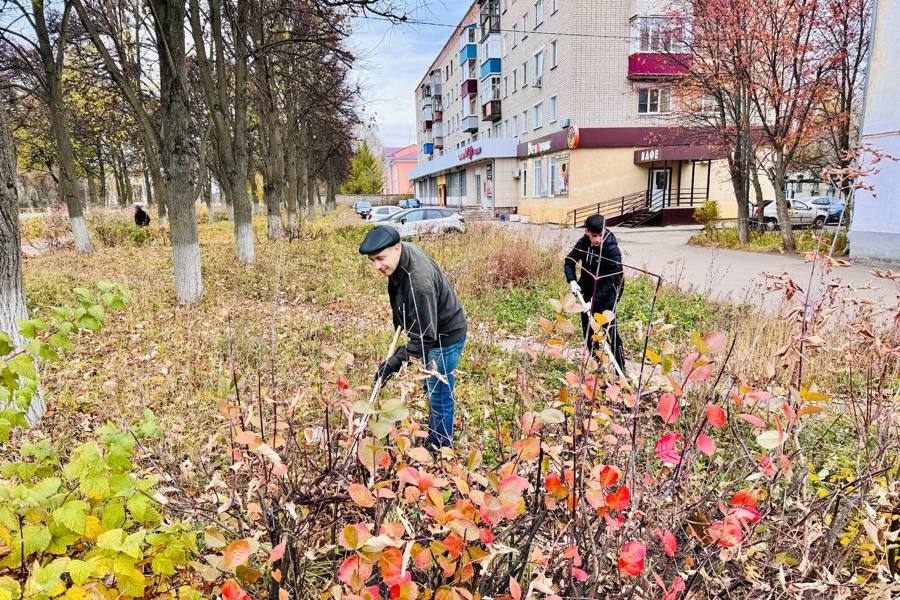 Сотрудники администрации города Канаш дружным коллективом приняли участие в экологическом субботнике