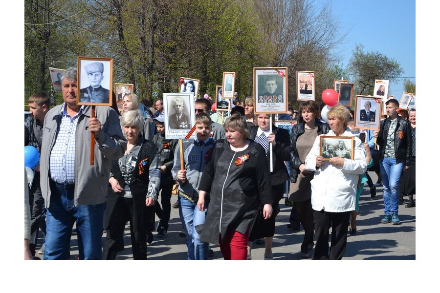 Студенты и школьники собрали почти полмиллиона кг макулатуры на акции 