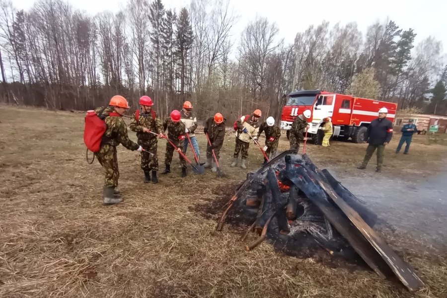 Тактико-специальные учения в Ибресинском и Шумерлинском лесничествах (15.04.2024)