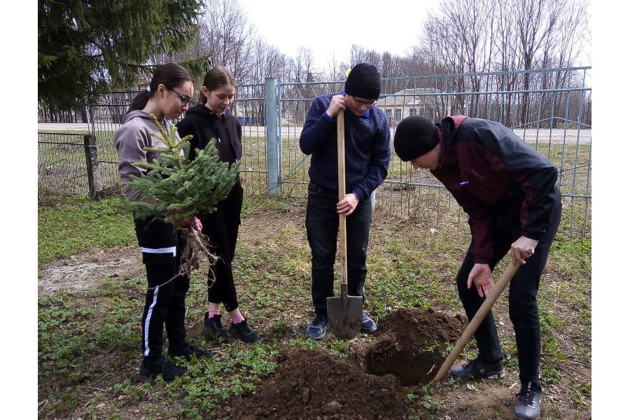 Моргаушцы одной большой семьей сажают деревья: «пусть будут крепкими единство и дружба»