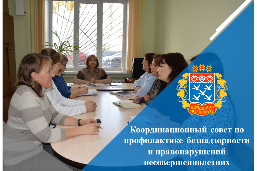 Координационный совет по профилактике безнадзорности и правонарушений несовершеннолетних