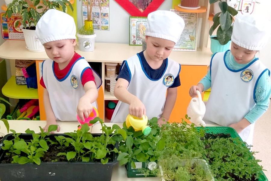 Воспитанники детского сада «Рябинушка» - участники проекта «Агролаборатория в детском саду»