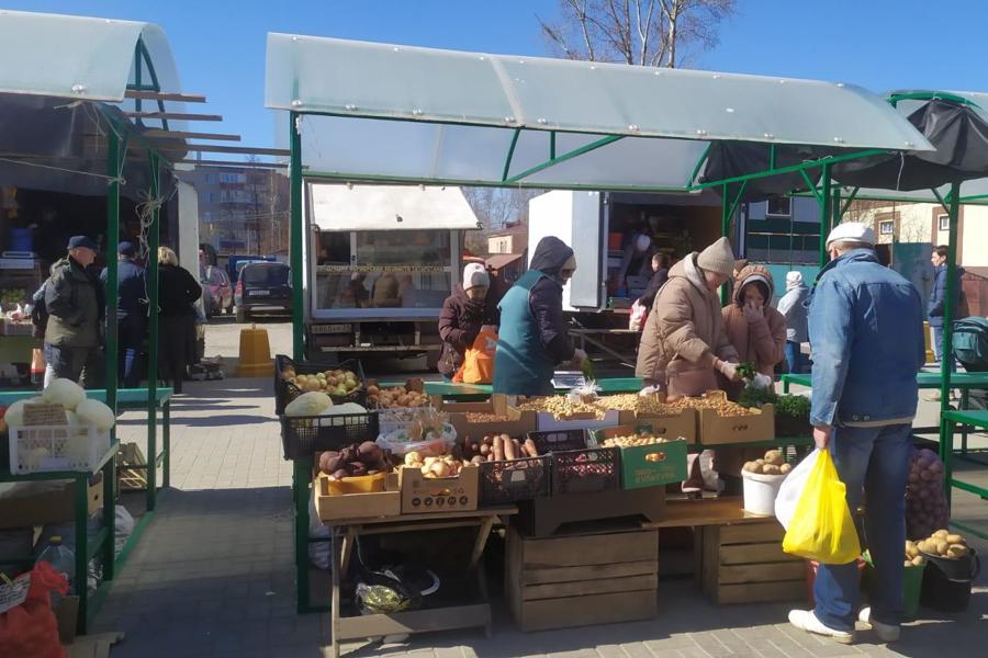 15 апреля в городе Канаш стартовала весенняя сельскохозяйственная ярмарка «Весна-2023»