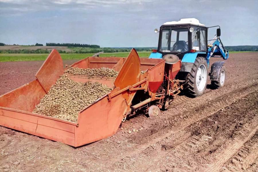 Сев яровых зерновых культур в  Шумерлинском округе завершён