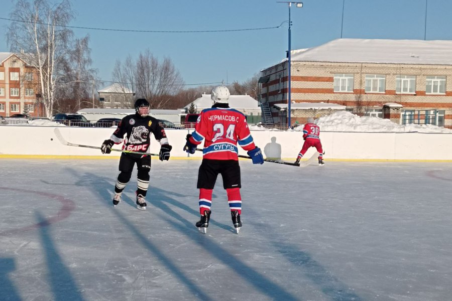 Хоккейный турнир в честь врача Алексея Казачкова состоялся  в селе Сугуты
