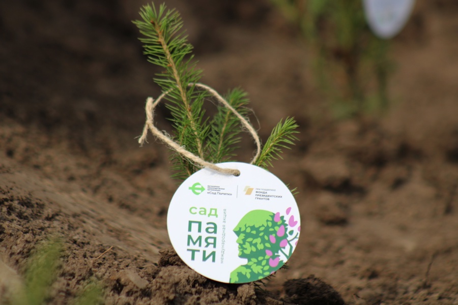 Свыше 36 тыс. деревьев будет высажено в Чувашии в рамках Международной акции «Сад памяти»