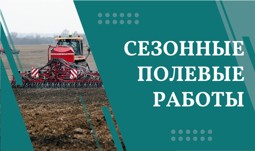 Сезонные полевые работы