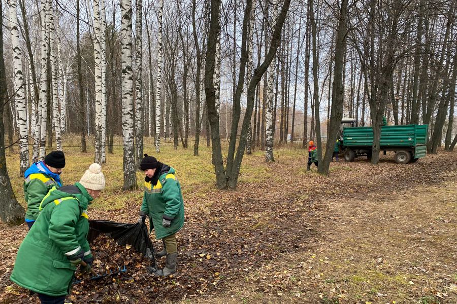 В Чебоксарах  продолжаются работы по формовочной стрижке деревьев