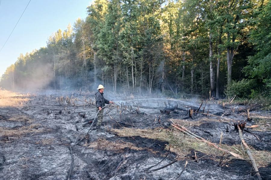 Сотрудники Шумерлинского лесничества оперативно ликвидировали лесной пожар
