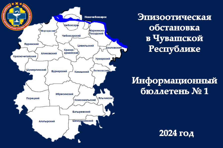 Информационный бюллетень № 1