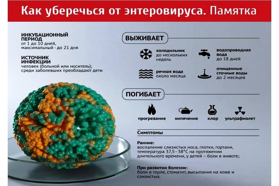 О мерах профилактики энтеровирусных инфекций