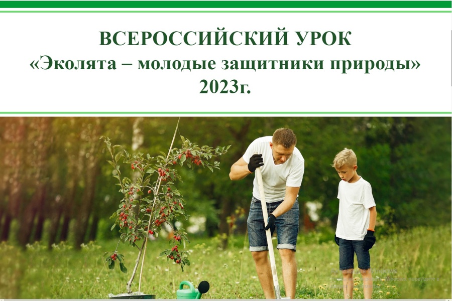 Всероссийскому уроку «Эколята – молодые защитники природы» - старт!