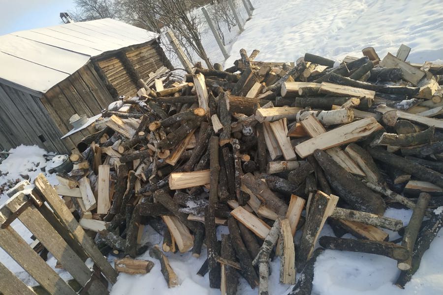 Семьи участников СВО в Цивильском округе обеспечили дровами для отопления дома
