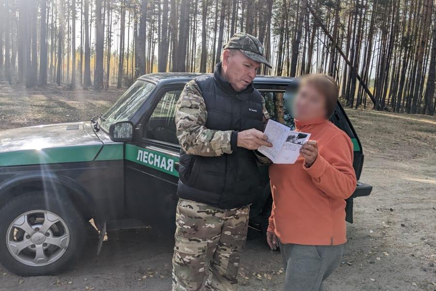 В выходные дни на территории Чебоксарского лесничества нарушений Правил противопожарной безопасности в лесах не зафиксировано