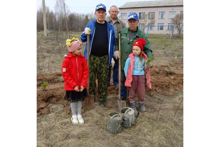 «Серебряные» волонтеры участвуют в экологической акции