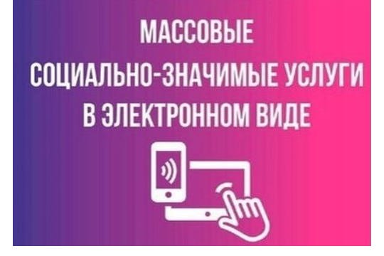 Социально-значимые услуги в электронном виде