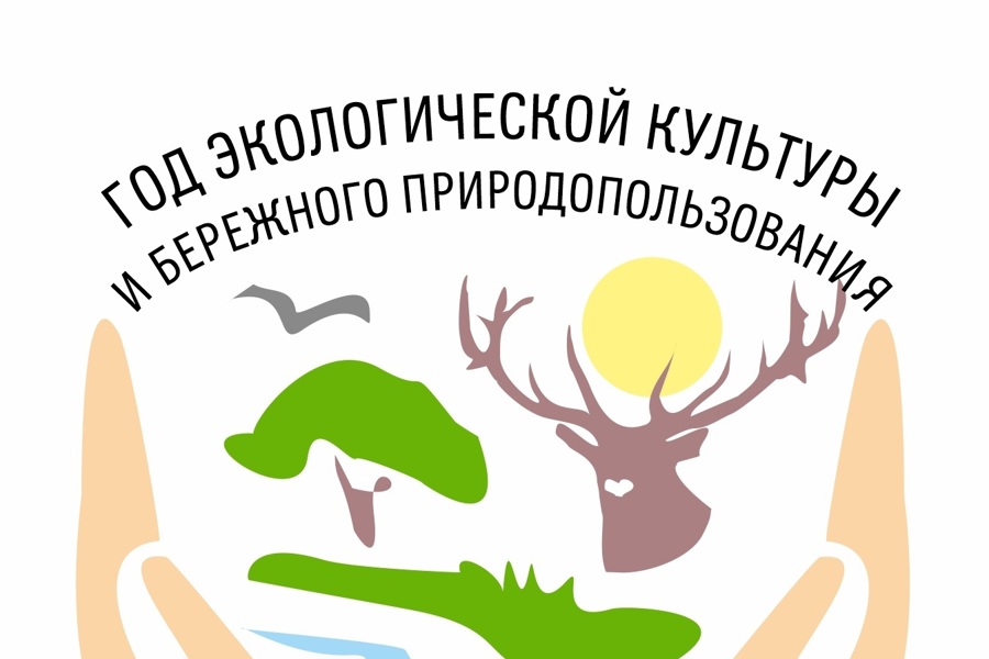 В Чувашии на конкурс по разработке логотипа и девиза Года экологической культуры и бережного природопользования подано 133 работы
