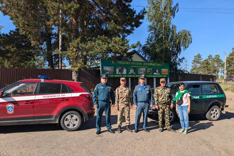 В минувшие выходные в Заволжье вновь выявлены нарушители пожарной безопасности