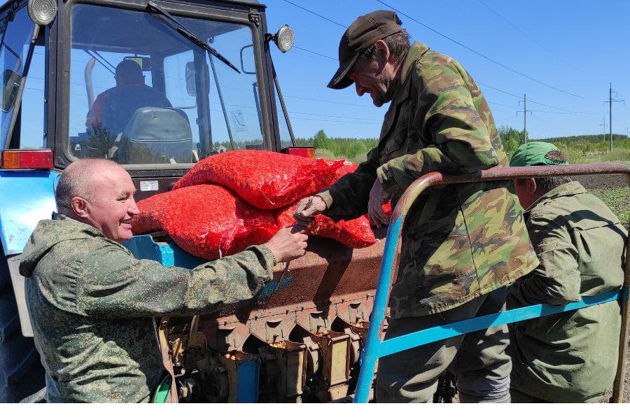 Аграрии Канашского муниципального округа приступили к севу лука-севка