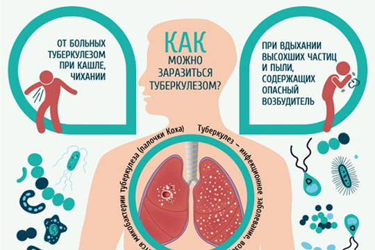 Памятка по профилактике туберкулёза